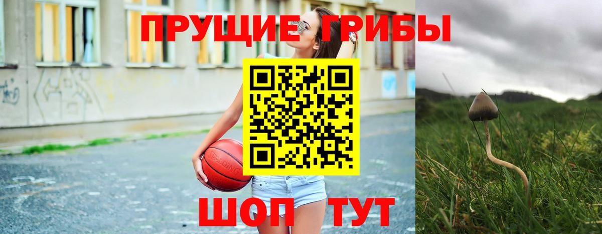 Псилоцибиновые грибы GOLDEN TEACHER  Вход с VPN  Галлюциногенные грибы мухоморы  Чусовой 